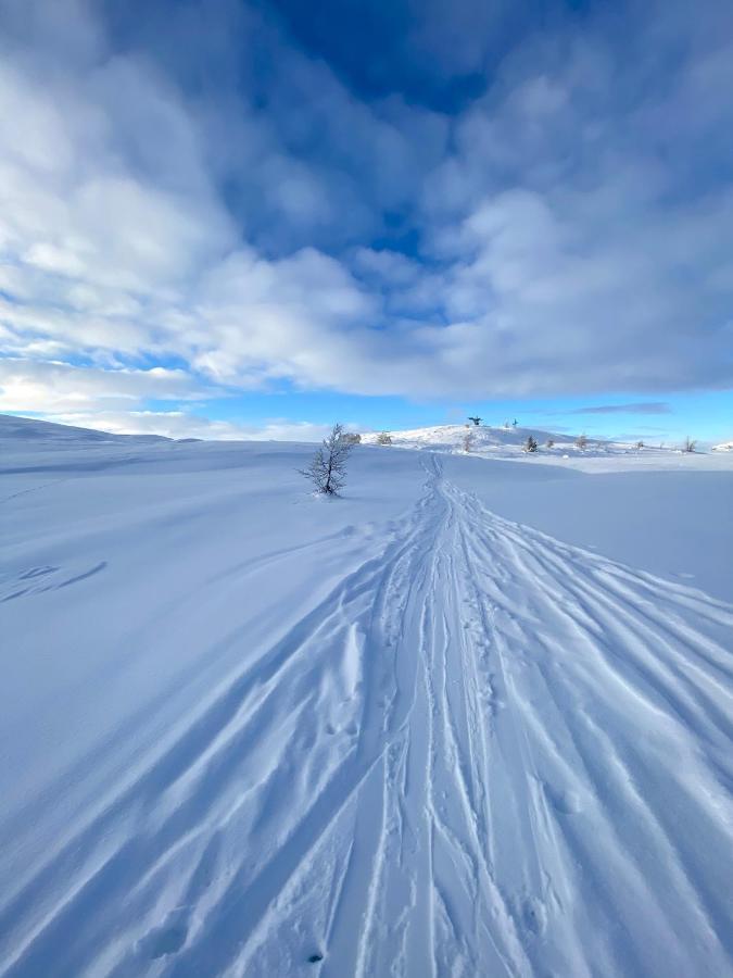 Fin Leilighet Med Flott Beliggenhet Ski In Ski Out Βίλα Beitostolen Εξωτερικό φωτογραφία