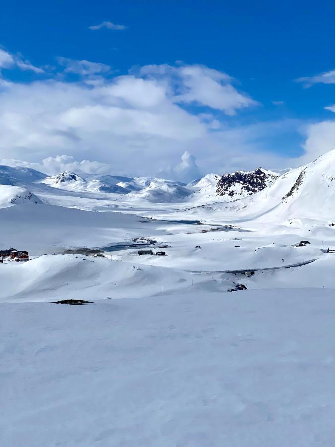 Fin Leilighet Med Flott Beliggenhet Ski In Ski Out Βίλα Beitostolen Εξωτερικό φωτογραφία