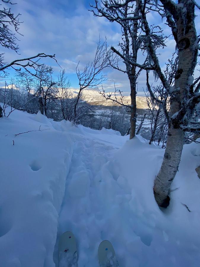 Fin Leilighet Med Flott Beliggenhet Ski In Ski Out Βίλα Beitostolen Εξωτερικό φωτογραφία