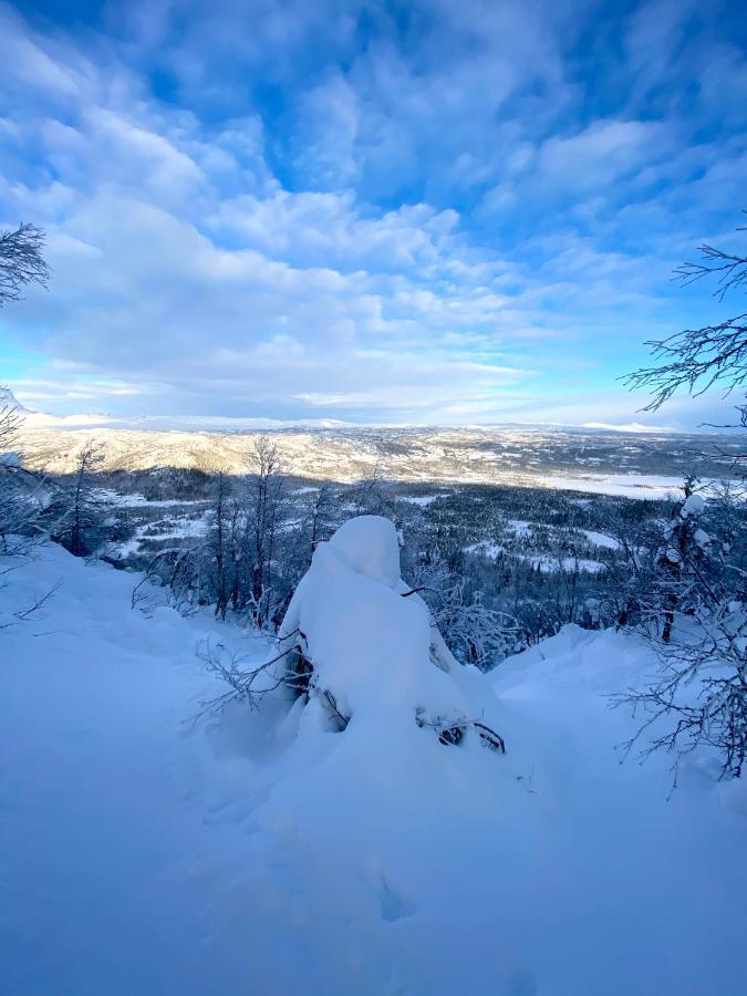 Fin Leilighet Med Flott Beliggenhet Ski In Ski Out Βίλα Beitostolen Εξωτερικό φωτογραφία